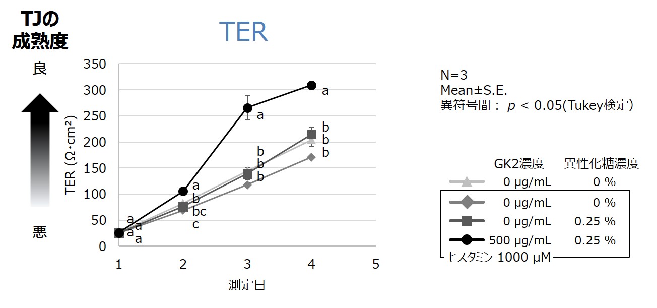 構築した試験系で、グリチルリチン酸ジカリウム（GK2）と異性化糖の有用性評価（TJ形成不良を抑制できるか）の結果