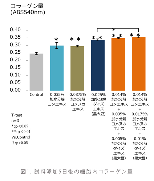 図1. 試料添加5日後の細胞内コラーゲン量