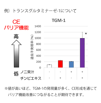 トランスグルタミナーゼ-1についての研究結果(グラフ）