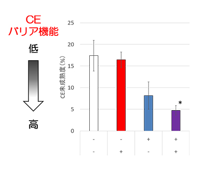 コーニファイドエンベロープ成熟化促進作用試験の結果（グラフ）