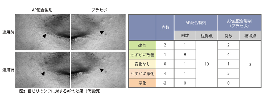 比較図