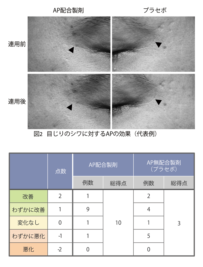 比較図