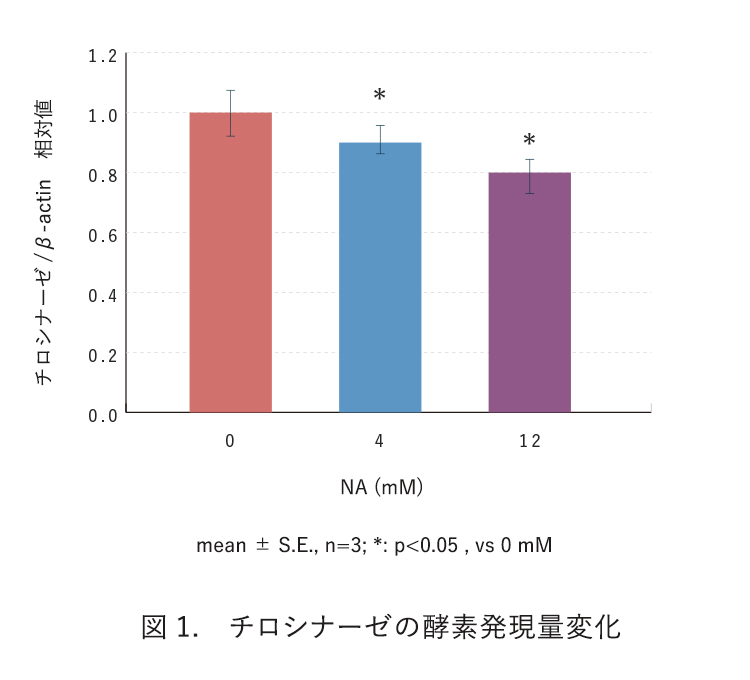 図1. チロシナーゼの酵素発現量変化