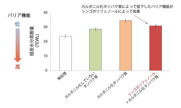 リンゴポリフェノールによる経皮水分蒸散量（TEWL）上昇抑制効果グラフ